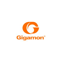 Gigamon