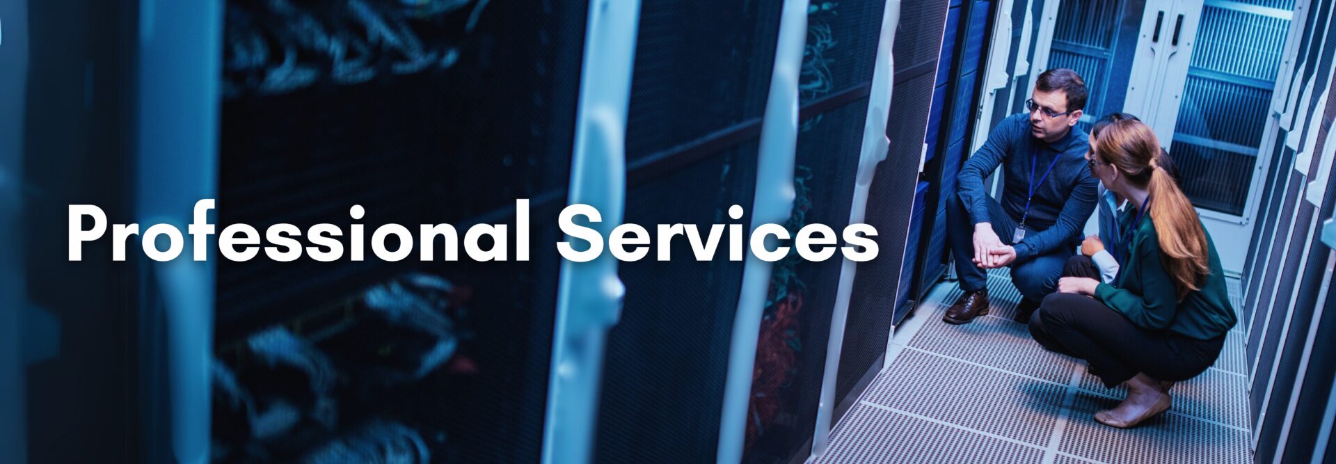 Copy of CITSUS Professional Services Website B_page-0001